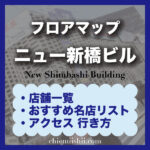ニュー新橋ビルのフロアマップ・マッサージ・ランチ・飲食店おすすめ・行き方完全版